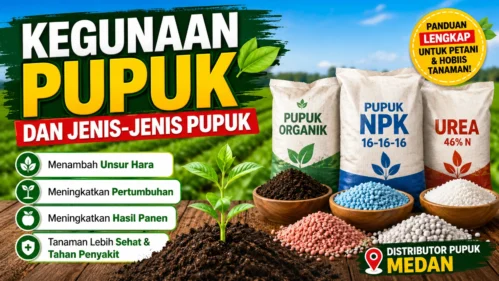Distributor Pupuk Medan Mengenal Kegunaan Pupuk
