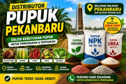Distributor Pupuk Pekanbaru di Tengah Besarnya Industri Perkebunan Riau