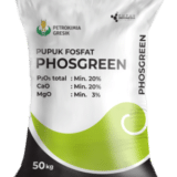 Pupuk Fosfat Phosgreen