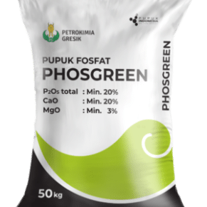 Pupuk Fosfat Phosgreen
