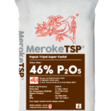Pupuk MerokeTSP