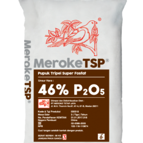 Pupuk MerokeTSP