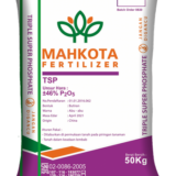 Pupuk Triple Super Phospate (TSP)