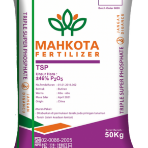 Pupuk Triple Super Phospate (TSP)