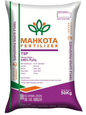 Pupuk Triple Super Phospate (TSP)