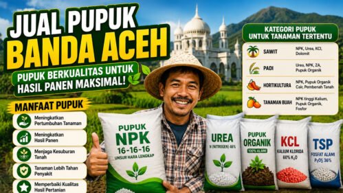 Jual Pupuk Banda Aceh Lengkap untuk Kebutuhan Pertanian dan Perkebunan