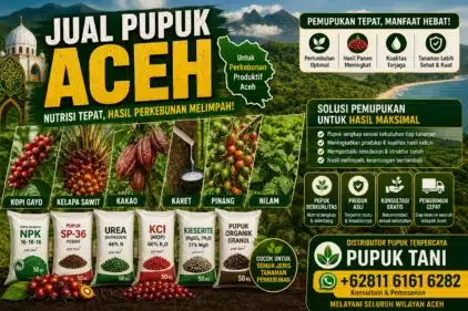 Hasil Perkebunan di Aceh