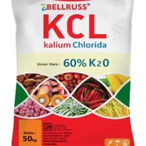 Jual Pupuk Bellruss KCL
