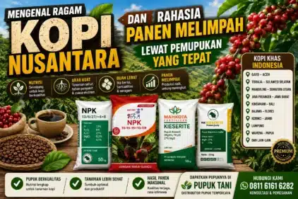 Mengenal Ragam Kopi Nusantara