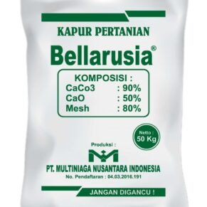 jual Bellarusia Kapur Pertanian