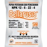 jual Bellarusia NPK 12-6-22-4