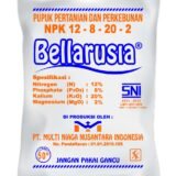 jual Bellarusia NPK 12-8-20-2