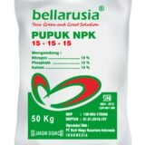 jual Bellarusia NPK 15-15-15