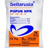 jual Bellarusia NPK 15-15-6-4