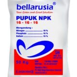 jual Bellarusia NPK 16-16-16