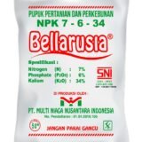 jual Bellarusia NPK 7-6-34