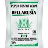 jual Bellarusia Pupuk Fosfat Alam