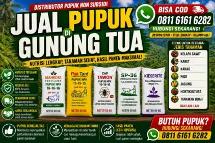 jual pupuk di Gunung Tua