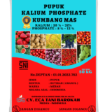jual pupuk kalium phosphate kumbang mas