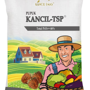 Pupuk Kancil-TSP (Triple Super Phosphate) P₂O₅ 46%