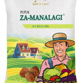 Pupuk ZA-Manalagi
