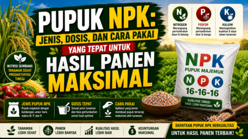 jenis Pupuk NPK dan cara pakai pupuk NPK